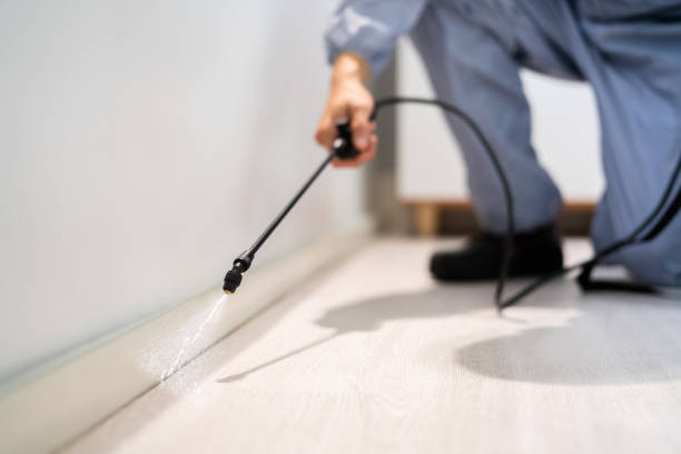 Licensed Termite Control service in Connersville, IN - Nex Pest Control