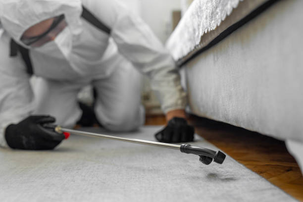 Professional Termite Control technician working in Connersville, IN