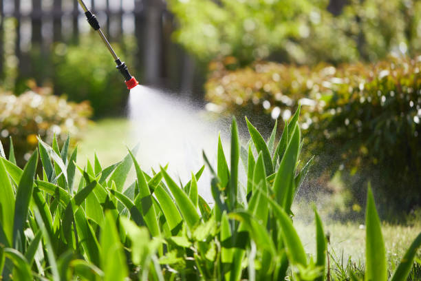 24/7 Emergency Termite Control experts in Connersville, IN
