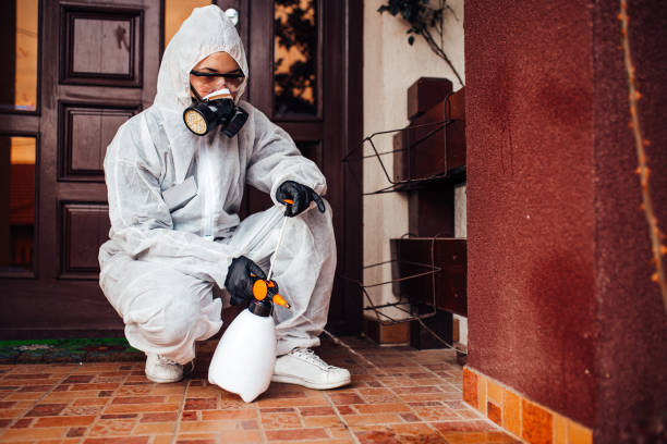 Reliable Termite Control contractor in Connersville, IN by Nex Pest Control