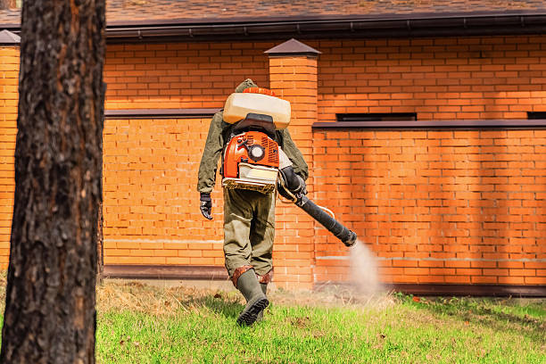 Top rated local Termite Control specialists in Connersville, IN